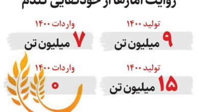 بذر خودکفایی گندم جوانه زد | کاهش واردات گندم به روایت آمار