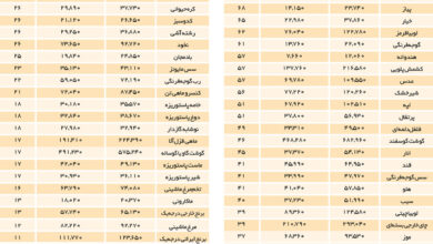 سبد غذا چقدر گران شد؟ | جدول جزئیات افزایش قیمت خوراکی‌ ها را ببینید