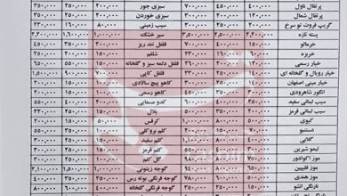 گوجه فرنگی لوکس شد – تسنیم