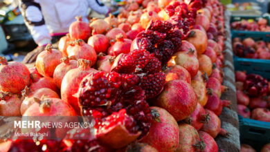 هشدار اتاق اصناف به گران فروشان یلدایی