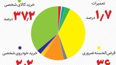 مردم وام های بانکی را بیشتر در کدام بخش ها مصرف کردند؟