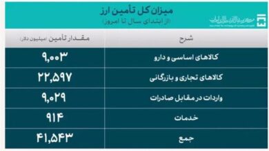 واردات کالاهای اساسی و دارو چقدر ارز برد؟