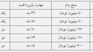 متقاضیان وام فرزندآوری بخوانند / این خانوار ۲۰۰ میلیون تومان وام می‌گیرند