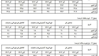 چشم انداز تورم در 1404/ شلیک دلار تک نرخی به هدف تورم تک رقمی