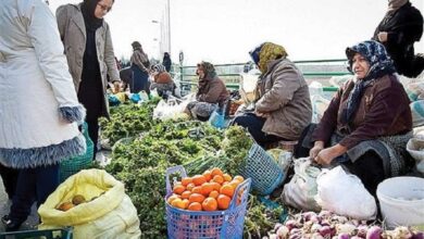 ساماندهی مشاغل زنان روستایی و عشایری