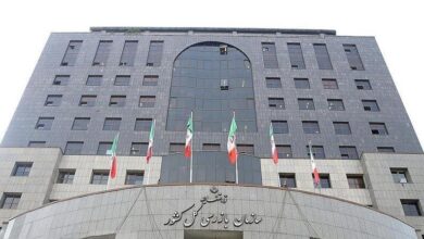 اولتیماتوم سازمان بازرسی به ۷ بانک | ضرب‌الاجل برای تسهیلات فرزندآوری تعیین شد