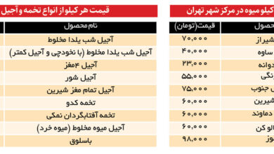 میوه و آجیل شب یلدا چند شد؟ | حساب و کتاب سور و سات طولانی ترین شب سال