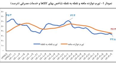 نبض تند قیمت ها کند می شود؟ | ریزش همزمان تورم از تولید تا مصرف