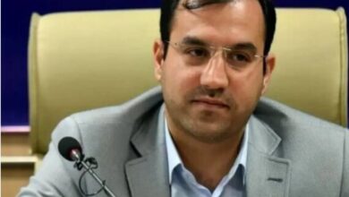 ۲۶ درصد از جوانان ایرانی به دنبال شغل و مهارت نیستند