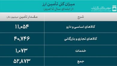 کالاهای اساسی و دارو بیش از ۱۱ میلیارد دلار ارز گرفتند