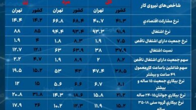 تهران؛ دومین استان کشور با کمترین نرخ بیکاری زنان