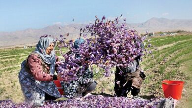 توطئه حذف کالای ایرانی از بازار جهانی