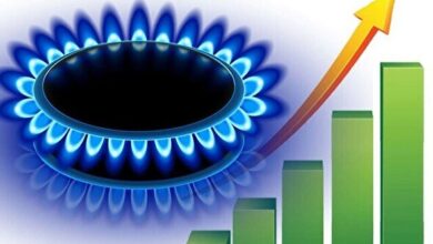 مصرف گاز خانگی در مرز ۶۰۰ میلیون مترمکعب