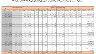 ریز وام پرداختی بانک ها/سهم مردم از وام بانکها24.7درصد است