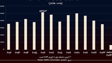 آتش سوزی سالانه جنگل در آمریکا، 187 برابر ایران