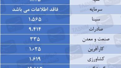 بانک ها 321 همت به خودشان وام دادند+جدول