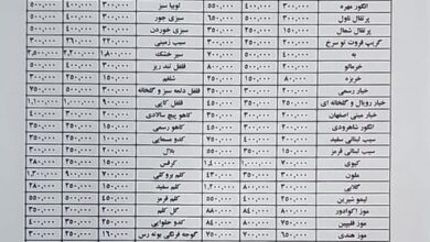 کلم بنفش در بازار ۵۸ هزار تومان شد+جدول قیمت عمده میوه و سبزیجات