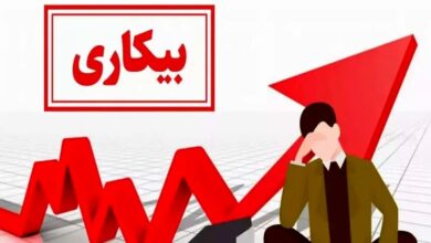 نتایج طرح آمارگیری نیروی‌کار پاییز ۱۴۰۳ منتشر شد