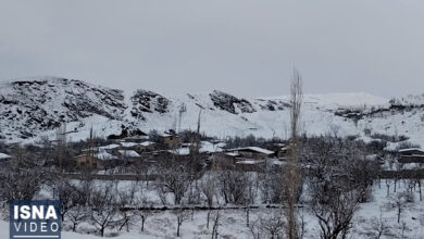 ویدیو/ بارش برف در روستاهای شهرستان راور