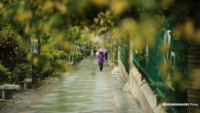 هشدار زرد برای استان تهران/ برف، باران و لغزندگی جاده‌ها از فردا