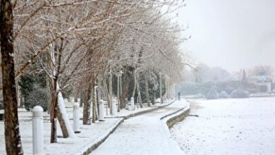 تهران برفی می‌شود