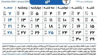 فردا ۲۵ دی کدام مراکز و ادارات تعطیل است؟