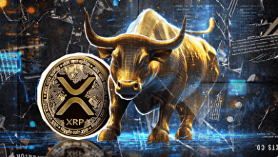 ریپل آماده برای رکوردشکنی تاریخی/ تحلیلگران از انفجار قیمتی XRP خبر می‌دهند!