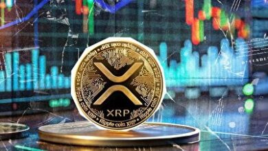 ریپل، ستاره درخشان بازار / رشد هیجان انگیز XRP در یک روز!