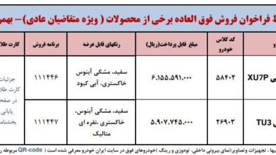 ثبت نام بدون قرعه کشی ایران خودرو بهمن ۱۴۰۳ / فروش فوری پژو ۲۰۷ و سورن پلاس با تحویل ۹۰ روزه + لینک