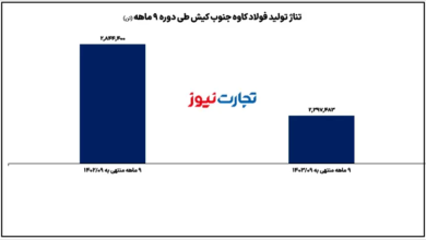 کاوه سهامداران را ناامید کرد / سقوط 73 درصدی سود خالص کاوه