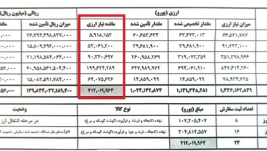 روند مطلوب تخصیص و تأمین ارز کالای اساسی 2 شرکت دولتی