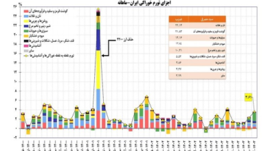 عامل نوسان قیمت مواد غذایی چیست؟+ نمودار