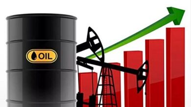 قیمت نفت اوج گرفت