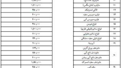 اسامی و قیمت سیگار و تنباکوی قاچاق در ایران اعلام شد+ جدول