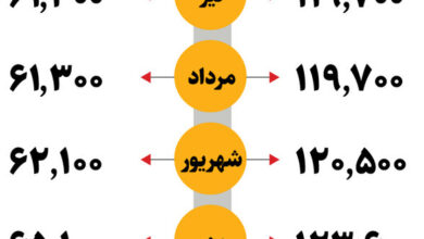 هر کیلو برنج چند شد؟ | این جدول قیمت ها را ببینید