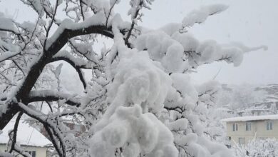 🔸 اختلاف دما در ایران به ۴۹ درجه رسید