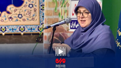 سخنگوی دولت: بیشترین ضرر از افزایش نرخ سکه و دلار نصیب دولت می‌شود