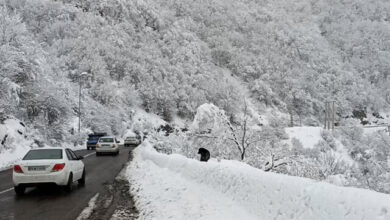 ویدئو/ تلاش بی‌وقفه راهداران و پلیس‌راه در محور کندوان چالوس