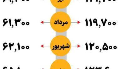 قیمت برنج ایرانی و خارجی امروز دوشنبه ۱۵ بهمن/ قیمت‌ها افزایش یافت