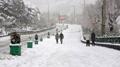 تصاویر زیبا از بارش برف در تهران