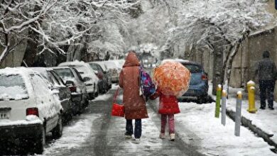 سردچال قطبی و سرمای شدید هوا در پیش است!