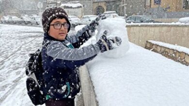 تاریخ دقیق شروع بارش برف در تهران اعلام شد