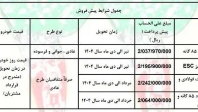 افزایش انتقادها از طرح‌های فروش سایپا/ همچنان خبری از عرضه آریا و شاهین نیست!