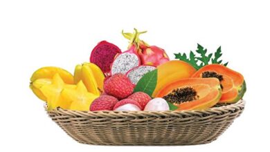 میوه‌های لوکس قاچاق، دور از چشم ناظران