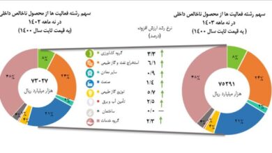 اما و اگرهای رشد اقتصادی ۸ درصدی