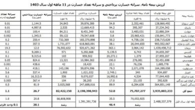 پایان بهمن با رشد ۵۸ درصدی حق بیمه؛ کدام رشته بیمه در صدر قرار دارد؟