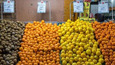 افشاگری یک نماینده مجلس از قیمت‌گذاری پرتقال + فیلم