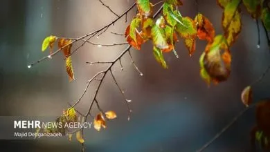 5835923.jpg